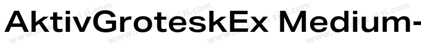 AktivGroteskEx Medium字体转换